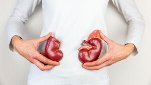 بهترین مواد غذایی برای پاکسازی کلیه‌ها
