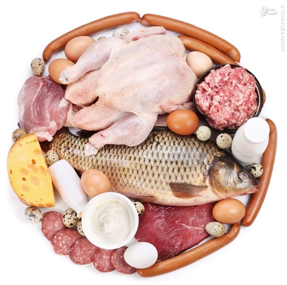  مقایسه ساختار پروتئینی گوشت حلال و غیرحلال: