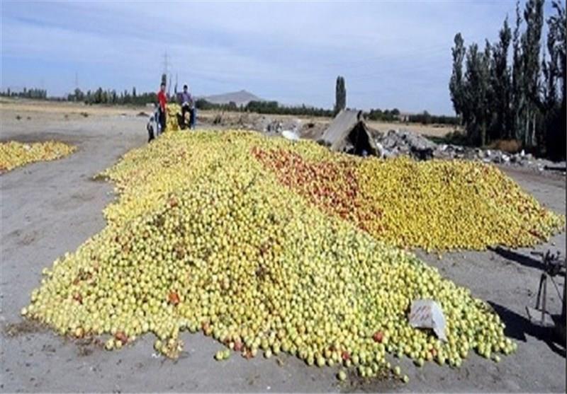 توان بالای اشتغالزایی صنایع غذایی ایران