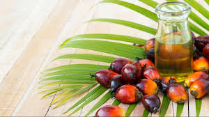 سیاست روغن پالم اروپا باعث محکومیت از آن سوی دیگر جهان می شود