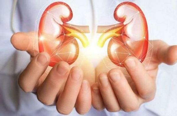 اگر نگران کلیه‌هایتان هستید این مطلب را بخوانید