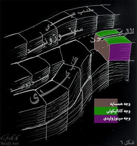  با توجه به چینش سلول‌های کبدی، با کمی مسامحه می‌توان هر سلول کبدی را مانند یک آجر مکعبی شکل در نظر گرفت که 6 وجه دارد. چهار وجه از این وجوه، با یک سلول کبدی دیگر در تماس است و دو وجه از آنها در تماس با سینوزوئیدها قرار دارند. اگر در جایی، ضخامت طناب کبدی دو سلولی باشد، 5 وجه از وجوه آن با سلول‌های مجاور و فقط یک وجه آن با سینوس در تماس است.بافت شناسان این سطوح سلول‌های کبدی را بنا بر همسایگیشان با عناصر بافتی نامگذاری کرده‌اند. سطحی از سلول را که با سلول کبدی دیگری در تماس است را “وجه همسایه”، سطحی از سلول را که در عین همسایگی با سلول دیگر، مجاور یک کانالیکول صفراوی است را “وجه قناتی” (وجه کانالیکولی) و سطحی از آن را که با سینوزوئید مجاور است را “وجه سینوزوئیدی” می‌خوانیم.