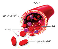  خون و سلول های خونی- برای مشاهده ادامه مطلب اینجا کلیک کنید