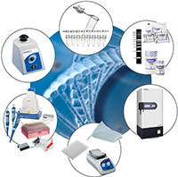 انواع PCR بخش پنجم