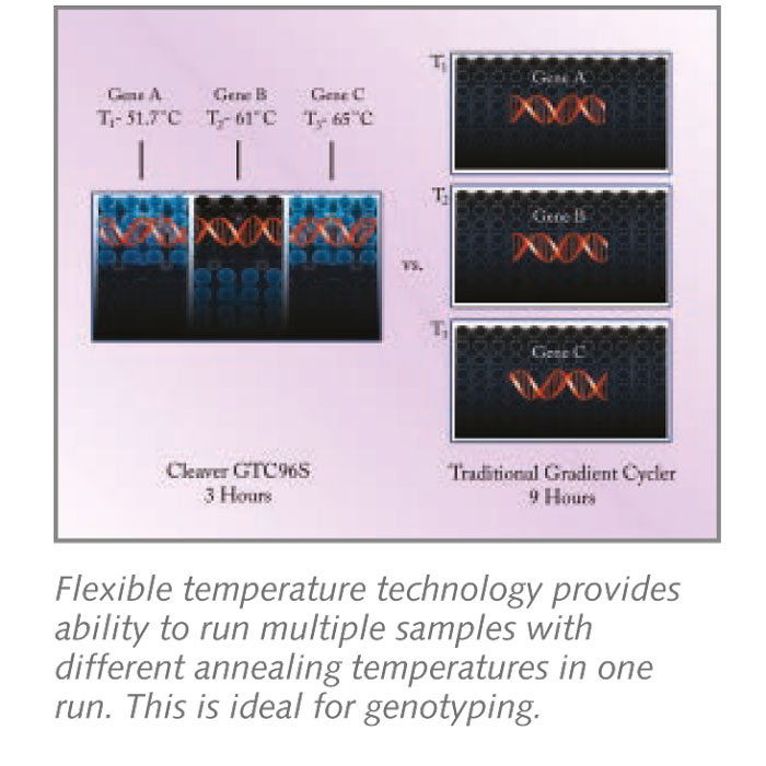 اصول کار با PCR بخش دوم