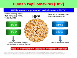 تست(آزمایش) HPV (اچ پی وی):تشخیص ویروس عامل زگیل تناسلی و سرطان رحم