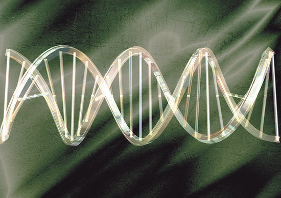 مشکلات PCR بخش ششم