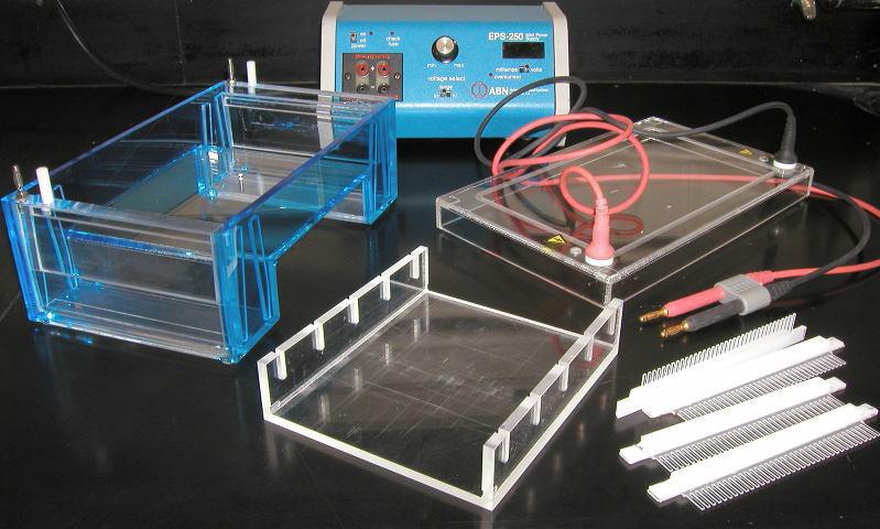 اصول کلی روش الکتروفورز (Electrophoresis) (Electrophoresis) الکتروفورز :